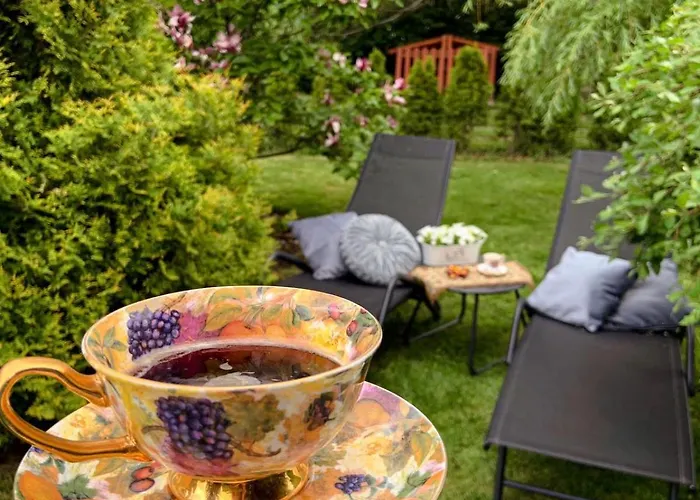 Dom Pod Rozami Отель типа 